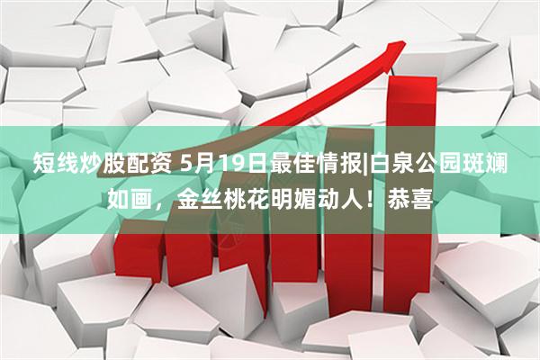 短线炒股配资 5月19日最佳情报|白泉公园斑斓如画，金丝桃花明媚动人！恭喜